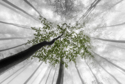 Wrapped Canvas Print, 60.96cm H x 91.44cm W