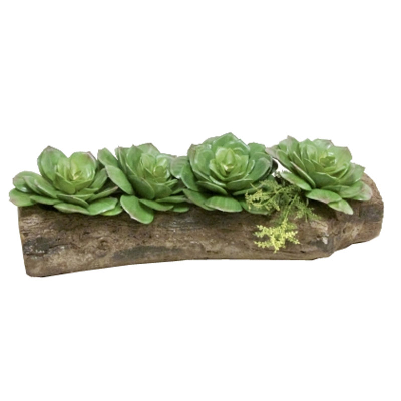 Pot de fleurs en béton Harmon, H 2,5 po x l 12,5 po x P 5 po, Brun