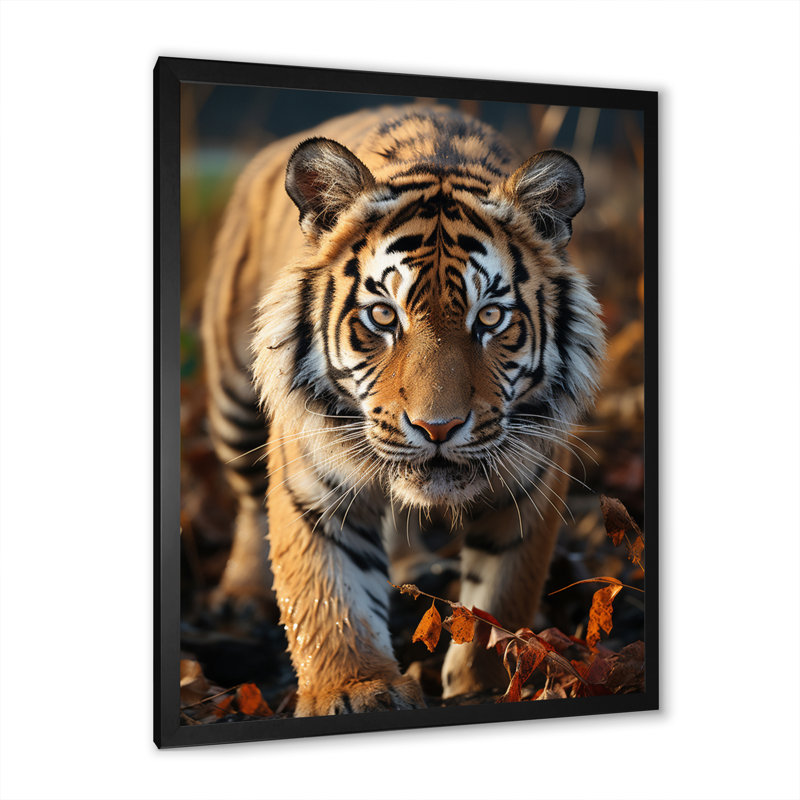 «Avani Tiger Extremely Détaillé Portrait II», reproduction sur toile, Toile encadrée noire simple, H 32 po x l 16 po x P 1 po