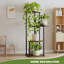 Ahmari Plant Stand