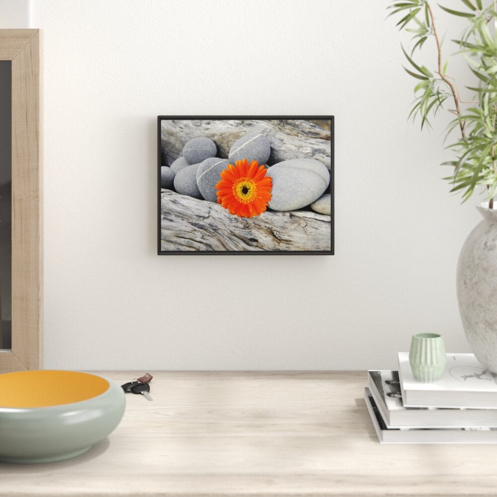 Gerahmtes Wandbild Gerbera zwischen Zen Steinen