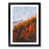 Black Framed selected