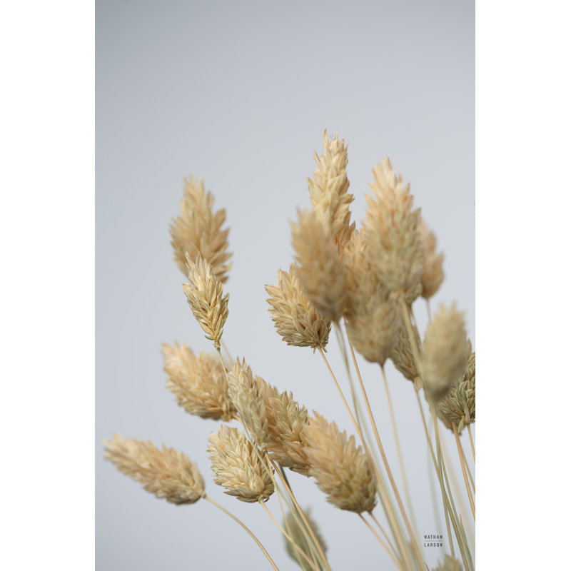 Wistful par Nathan Larson - photographie, Non, H 12 po x l 8 po, Toile avec cadre érable