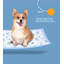Tapis pour chien (ensemble de 50)
