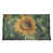 Microfibre