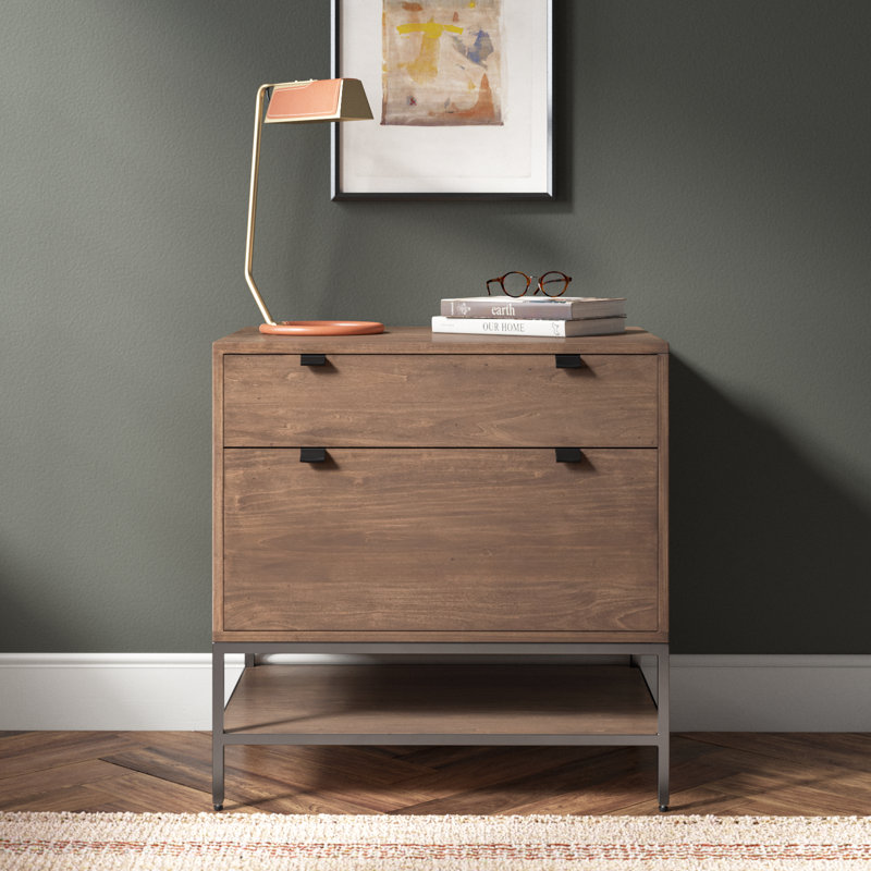 Loki 30'' Wide 2 -Drawer Solid Wood File Cabinet, Auburn Poplar