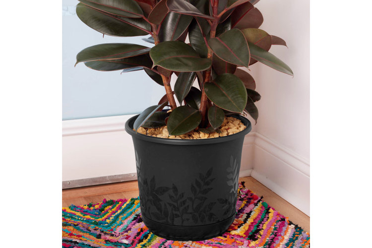 Feliz Plastic Nursery Pot