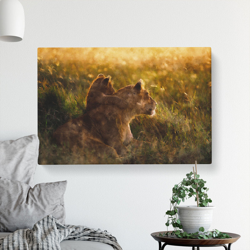 Lioness With Lion Cub - Wrapped Canvas, 50cm H x 76cm W x 3cm D