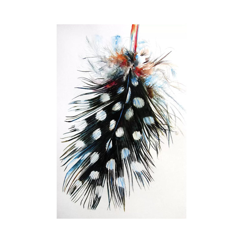 Feather II by Anna Brigitta Kovacs - Wrapped Canvas Print, 20.32 cm H x 30.48 cm W