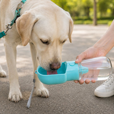 Leakproof Portable Pet Travel Water Bottle, Outdoor Hydration Drinking Cup for Dogs & Cats