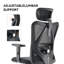 SIHOO Mesh Office Chair with Headrest