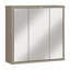 Rogin Wall Mounted Required Bathroom Cabinet