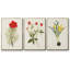 Fleurs des saisons VI, ensemble de 3 toiles encadrées-97795907-97795906