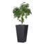 Koto Planter-1349825096-1396668245