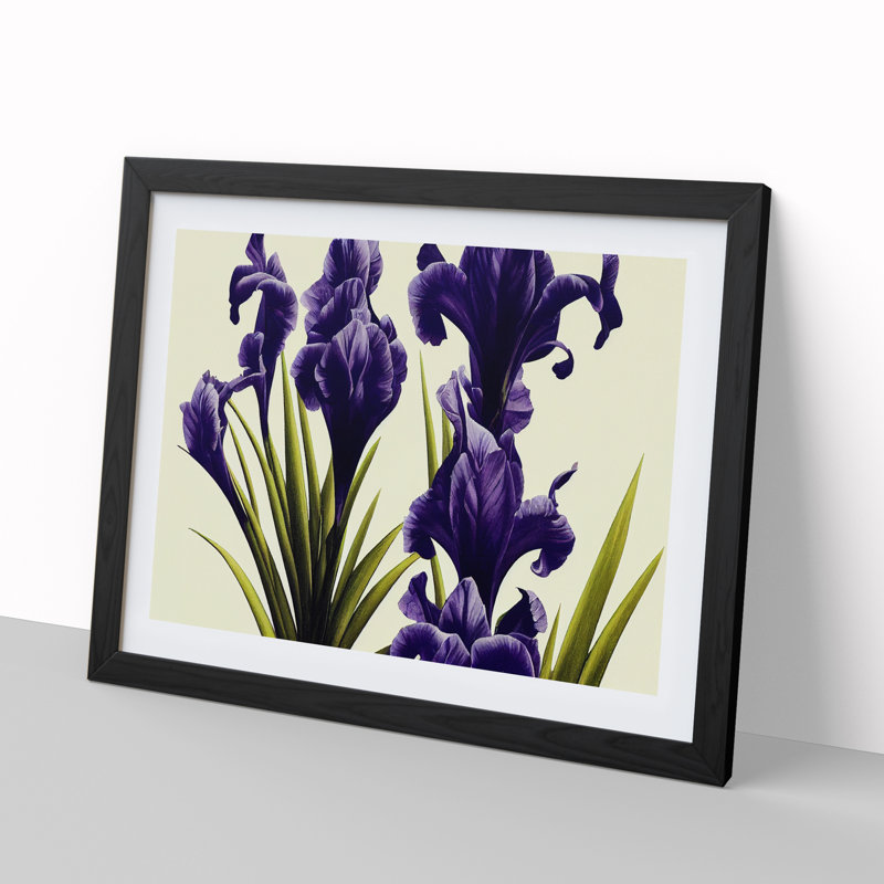 Desirable Iris Flowers - Single Picture Frame Painting, 25cm H x 34cm W x 2cm D, Black