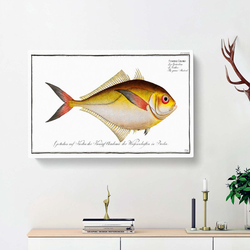 Green Mackerel Fish by M.E. Bloch - Wrapped Canvas, 35cm H x 50cm W x 3cm D