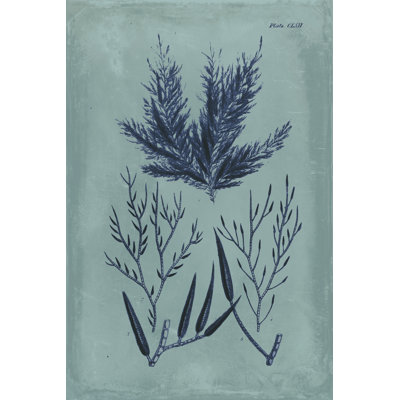 Indigo and Azure Seaweed I by Vision Studio -  Painting