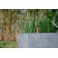 Fibre de verre Gethsemane-1621048989-1617262000