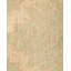 One-of-a-Kind 8' 10" X 12' 3" Hand Knotted Area Rug