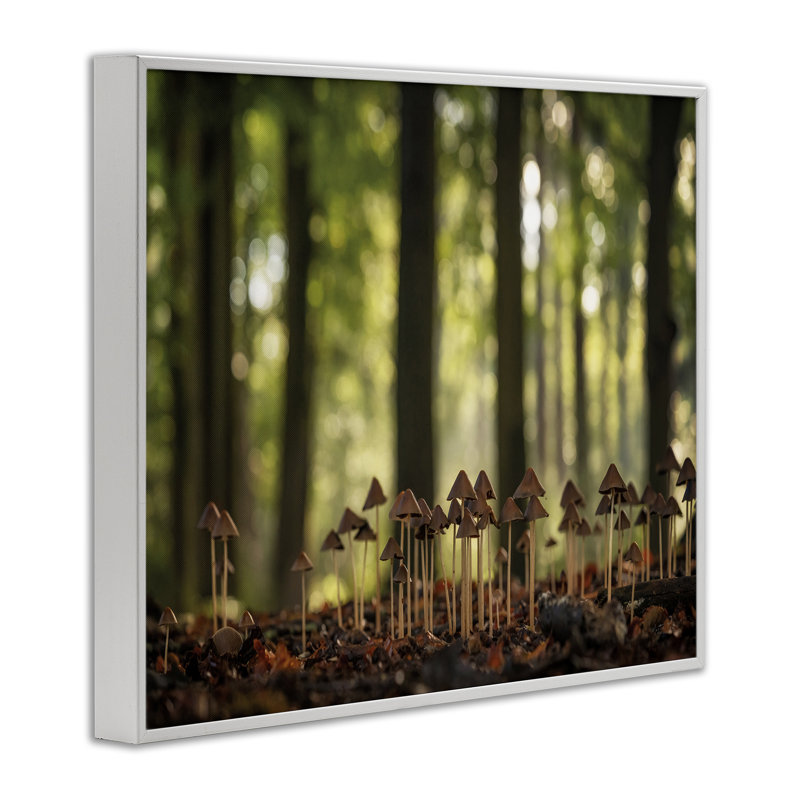 Champignon dans une forêt, estampe numérique encadrée par Martin Podt, Estampe numérique encadrée blanc bord de mer