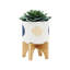 Jardinière S / 2 5/8 po Funky