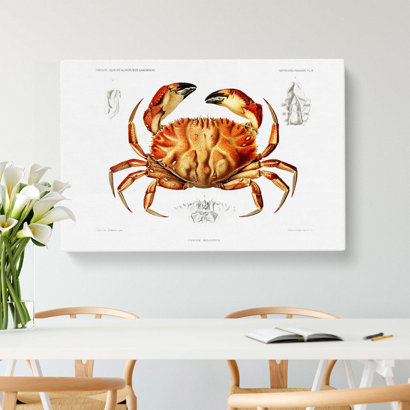 Crab by Albert I - Wrapped Canvas, 50cm H x 76cm W x 3cm D
