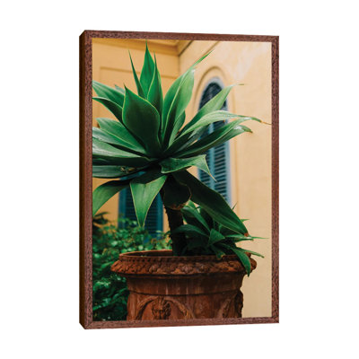 Rainy Positano IX by Bethany Young - Print on Canvas