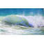 Summer's Splash Print-1047683539