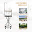 182cm Bird Play Stand