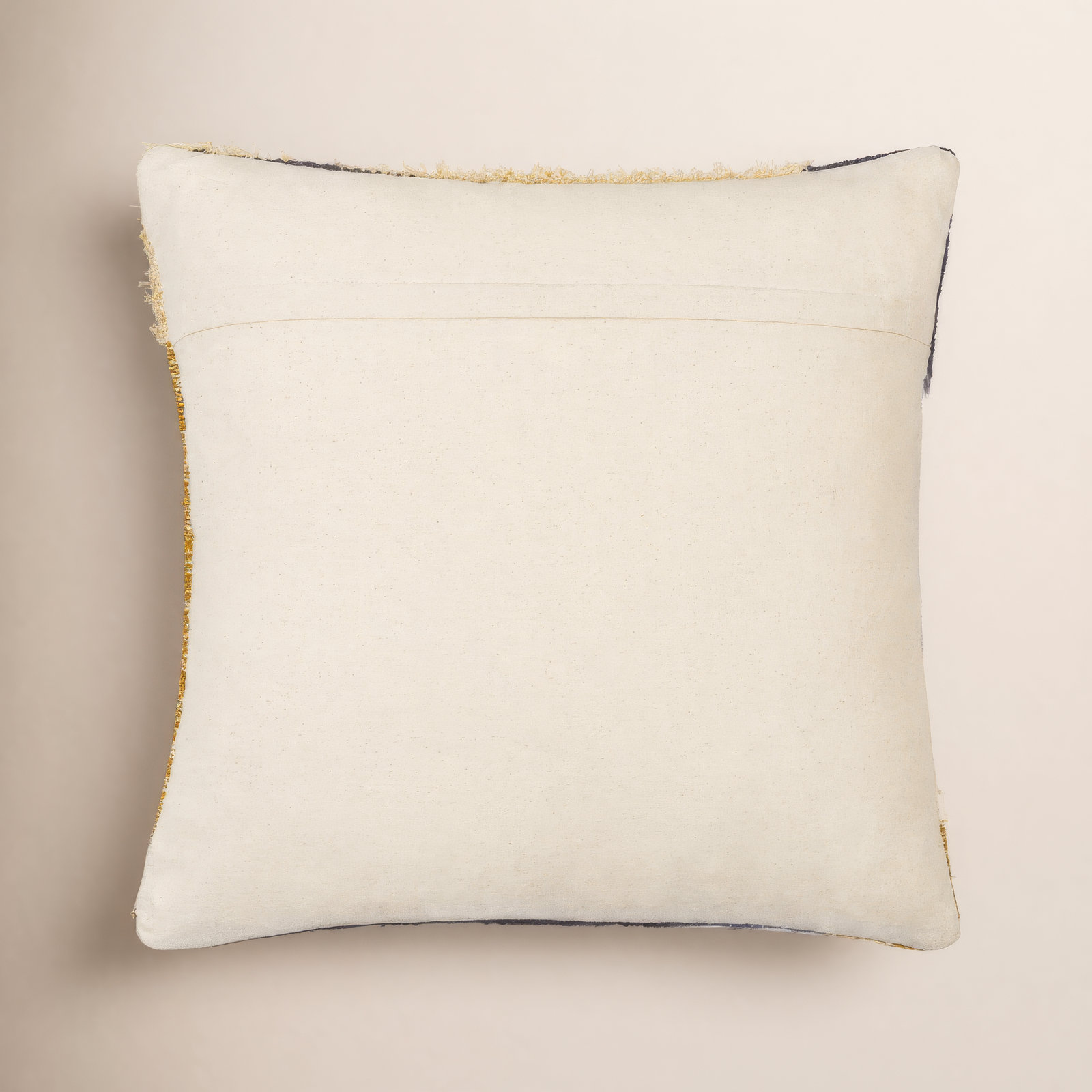Iban 20" x 20" Embroidered Throw Pillow, Down