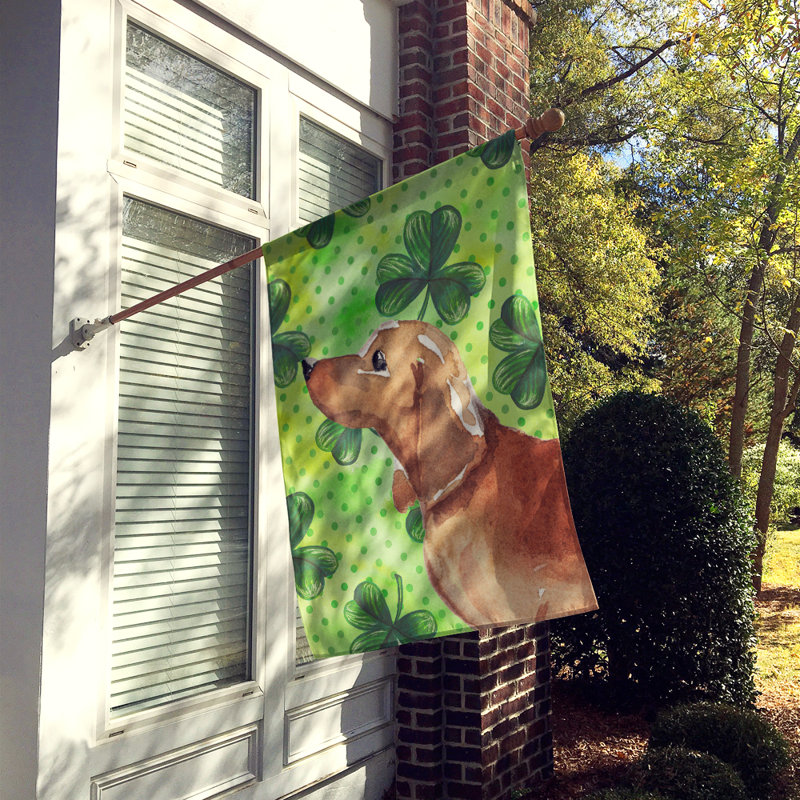 40 x 28 po en polyester à 2 côtés de la st patrick drapeau maison, Teckel brun clair