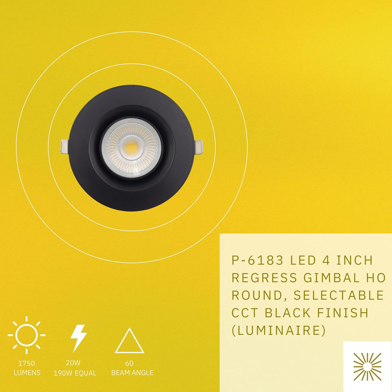 Perlglow 4" Round 20W ‎1750 Lumens 5CCT Gimbal Light, Black