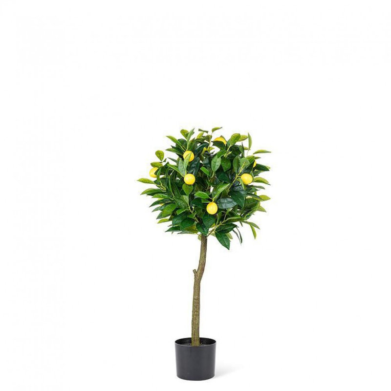 Faux plantes et arbres de citronnier moyen, H 36 po x l 15 po x P 15 po