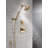 Ashlyn 3-Setting 2-Port Diverter Trim-113616095