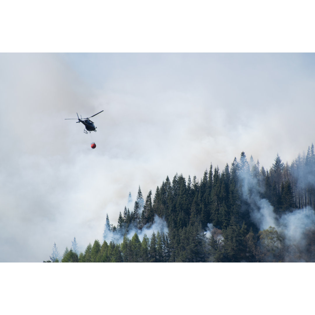 Feuerwehrleute löschen Waldbrand - Leinwanddrucke