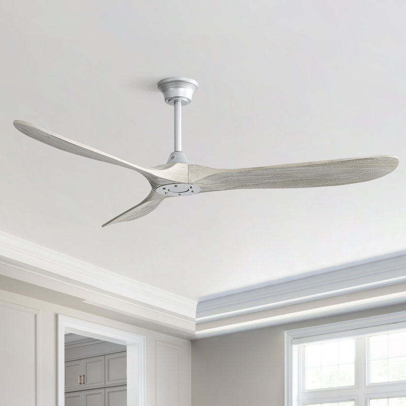 Nicola 60" 3 - Blade Standard Ceiling Fan with Remote Control, Sliver with Light Grey Blades