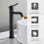 Robinets de lavabo de salle de bain Modern, robinet de meuble-lavabo noir mat en acier inoxydable