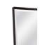 Miroir Buckland