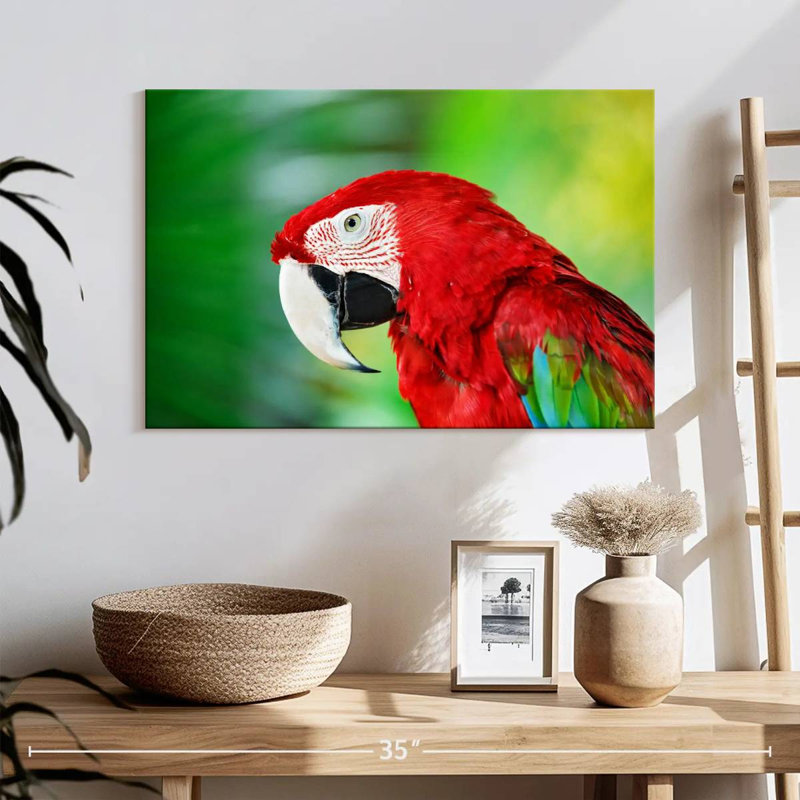 Brampt Jungle Scarlet Macaw, 16" H x 24" W