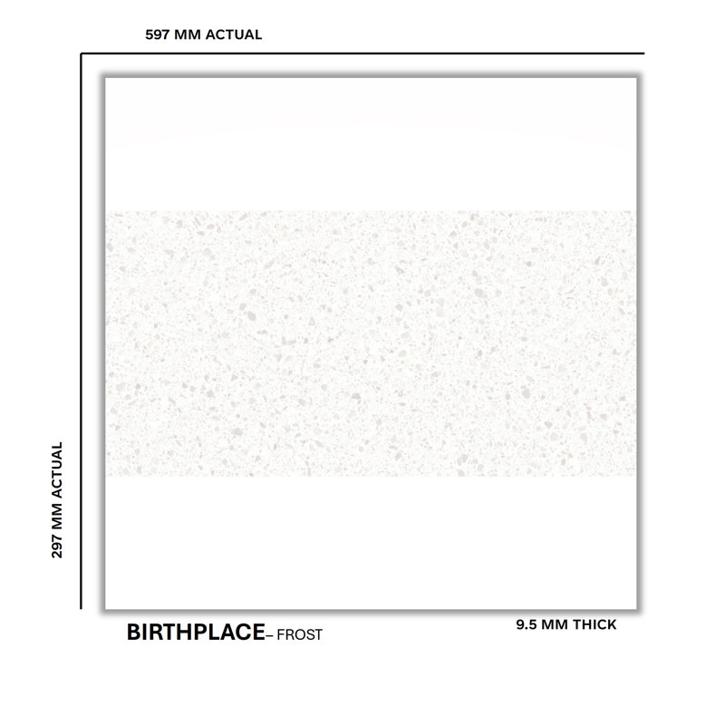 Birthplace 12" x 24" Porcelain Terrazzo Look Wall & Floor Tile, Frost