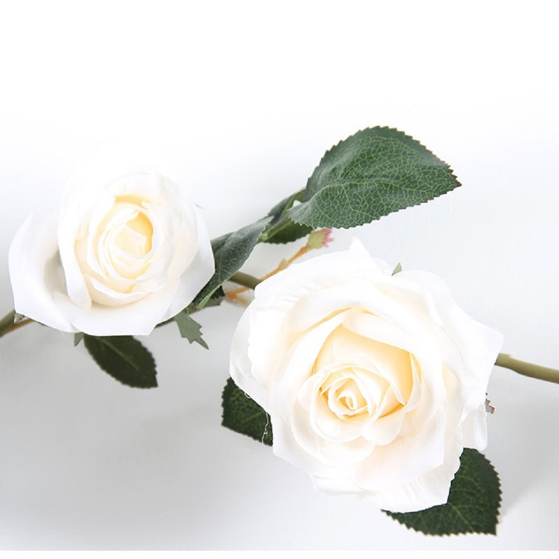 Tiges de roses artificielles australiennes, 3 tiges, blanc