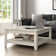 Weddel Basilico Coffee Table with Storage