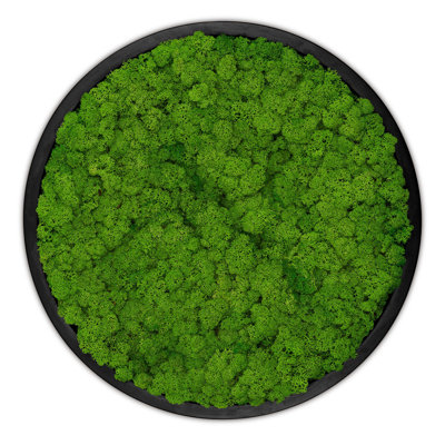Moss Picture Reindeer Moss Round