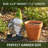 Solar Gnomes Garden Statues