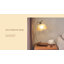Lahsana Solid Wood USB Desk Lamp