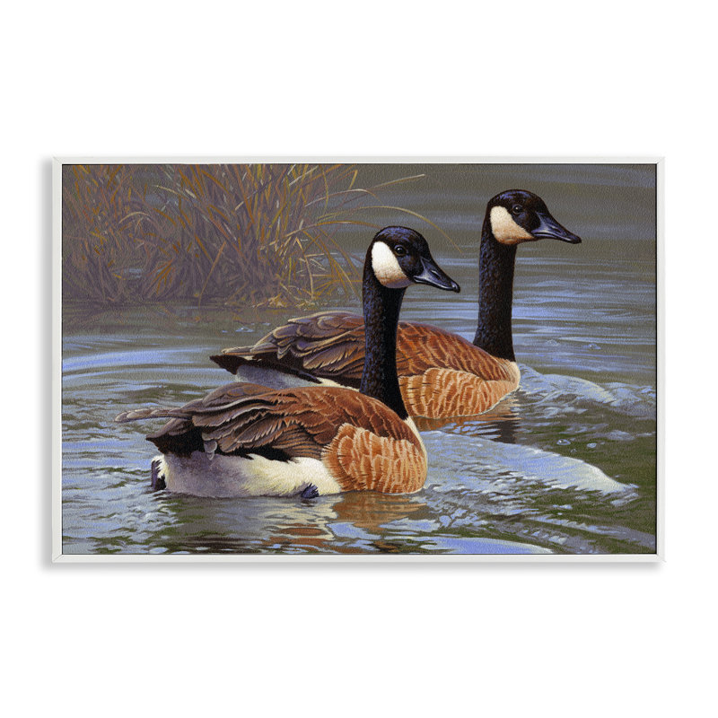 «Backwater Canada Gees», estampe numérique par Rod Lawrence, Giclée encadrée blanc bord de mer, H 12 po x l 18 po