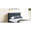Full Size Bed With Trundle, Contemporary Bedroom Furniture, Charcoal Linen Upholstered Headboard And In Grid Pattern Trundle Bed, For