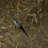Brown Bronze Metallic Faux Distressed Plaster Textured Contemporary Wallpaper 3d