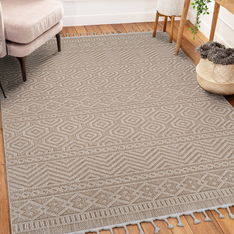 Tapis tissé à l'intérieur et à l'extérieur 6X9