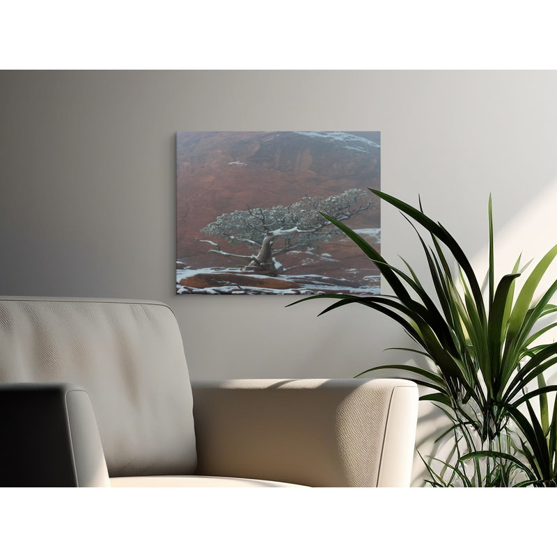Smitherman Wrapped Canvas Print Set, 32x24